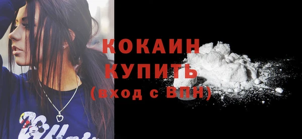 прущие грибы Кулебаки