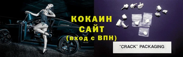 прущие грибы Бронницы