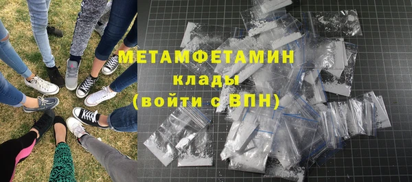 прущие грибы Кулебаки