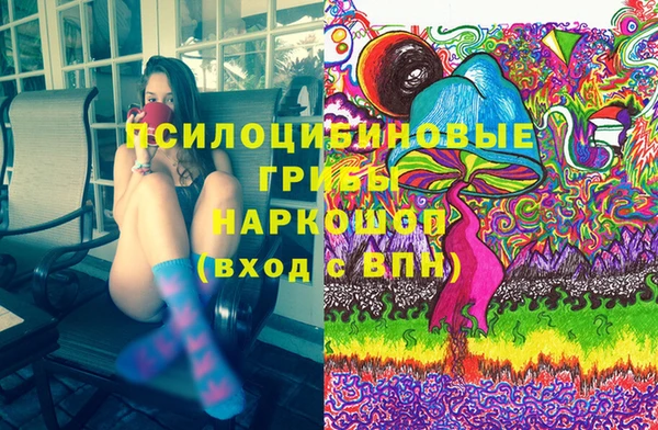 PSILOCYBIN Куйбышев