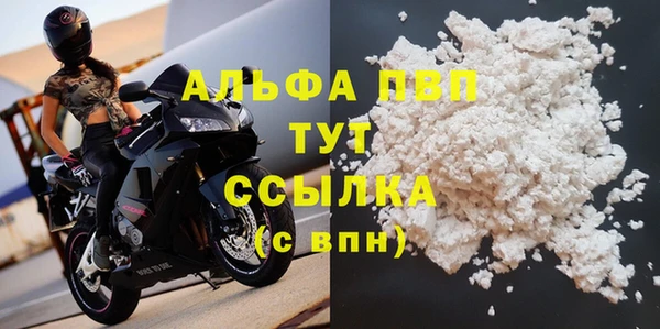 прущие грибы Кулебаки