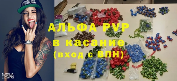 прущие грибы Кулебаки
