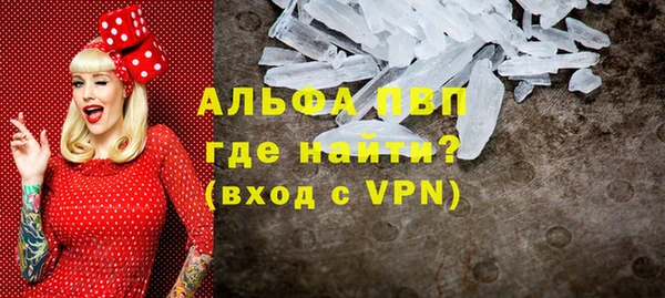 прущие грибы Кулебаки