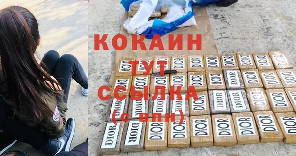 прущие грибы Кулебаки