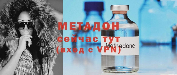 прущие грибы Кулебаки
