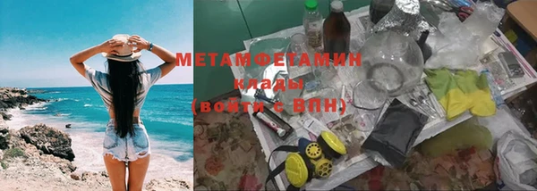 прущие грибы Кулебаки