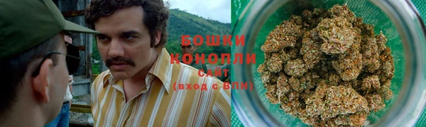 PSILOCYBIN Куйбышев