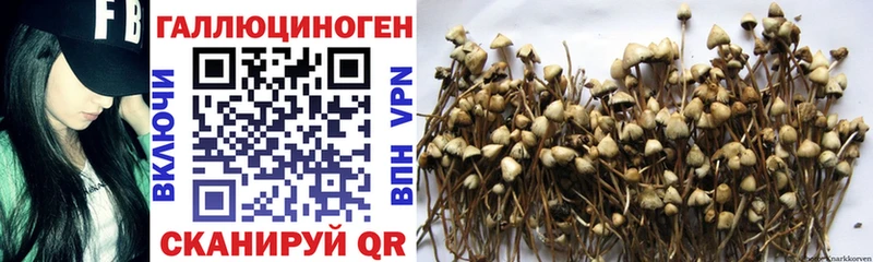 Псилоцибиновые грибы MAGIC MUSHROOMS  кракен ТОР  Южноуральск  купить  цена 