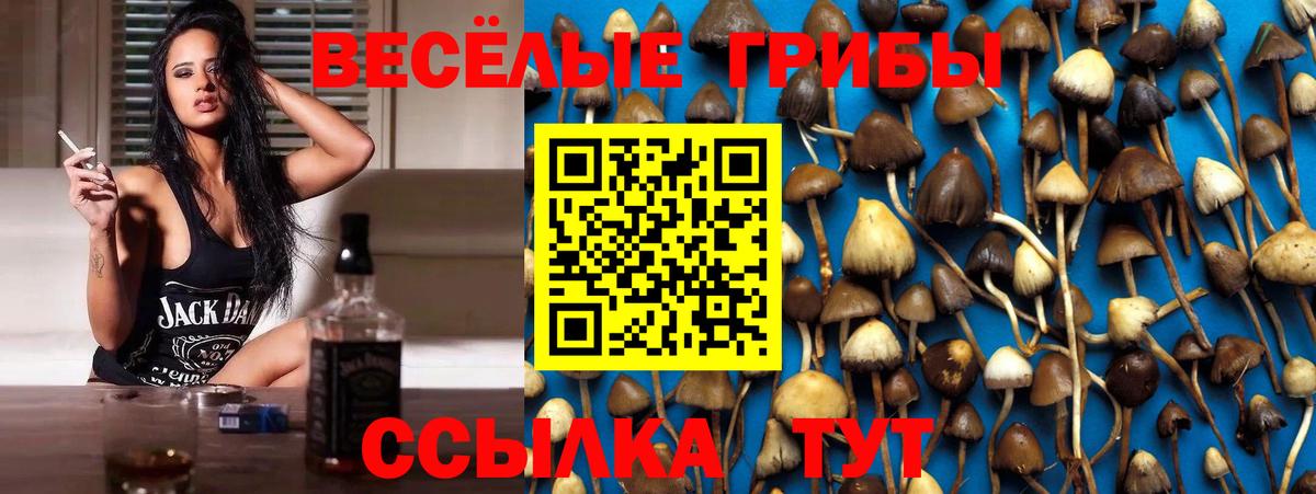 Южноуральск  Галлюциногенные грибы прущие грибы  Галлюциногенные грибы GOLDEN TEACHER  Вход с VPN 