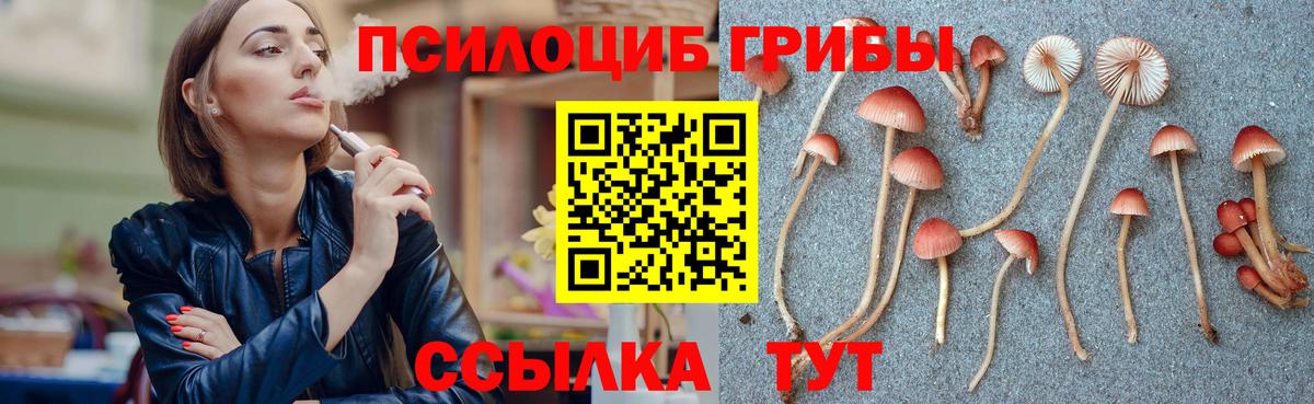Псилоцибиновые грибы прущие грибы Южноуральск